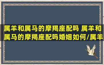 属羊和属马的摩羯座配吗 属羊和属马的摩羯座配吗婚姻如何/属羊和属马的摩羯座配吗 属羊和属马的摩羯座配吗婚姻如何-我的网站